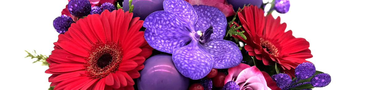 GiMi's Festive Collection