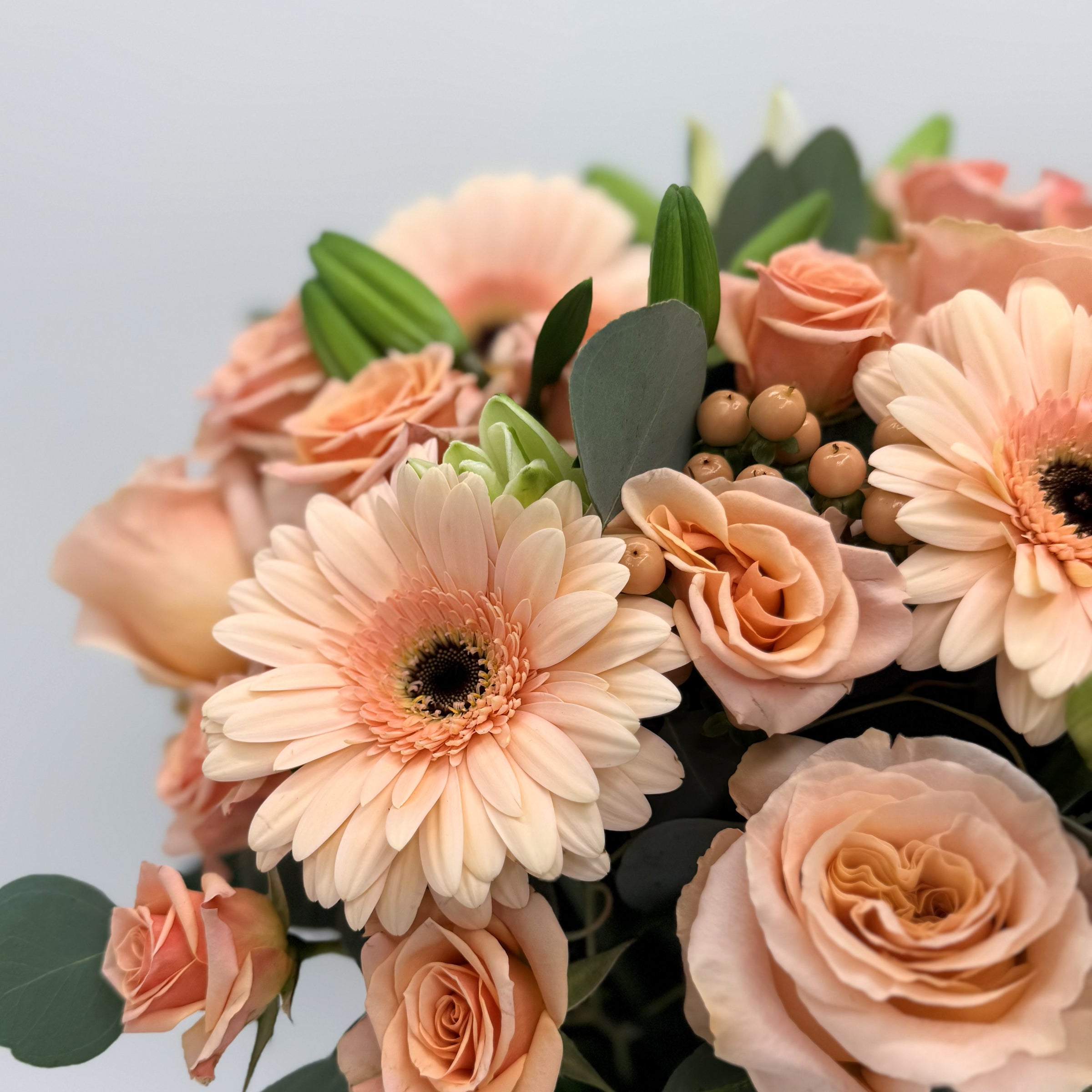 Peach Perfection