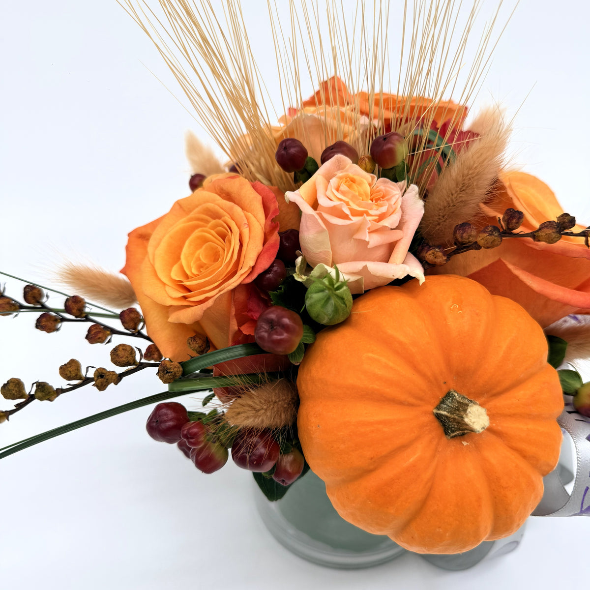 Roses and Rosé — The Fall Edition
