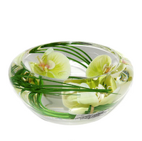 Emilio Robba - Green Phalaenopsis Flower Bowl