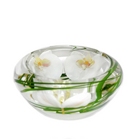 Emilio Robba - White Phalaenopsis Flower Bowl