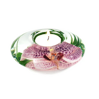 Emilio Robba - Spotted Phalaenopsis T-Light