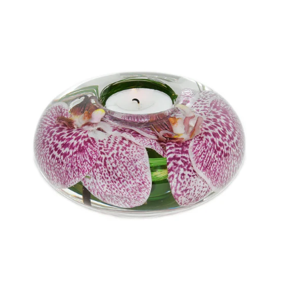 Emilio Robba - Spotted Phalaenopsis T-Light