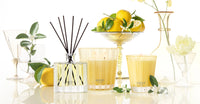 Nest Sunlit Yuzu & Neroli Candle