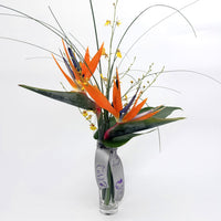 Tropical Indulgence