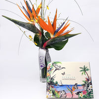 Tropical Indulgence