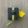 NEST Fragrance Grapefruit