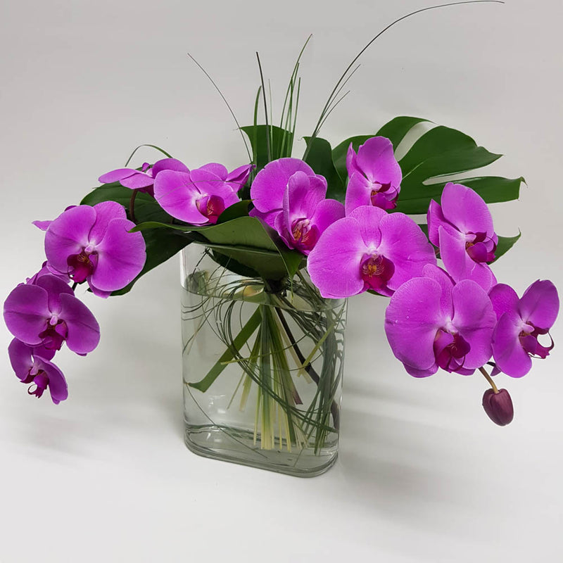 Orchid Splendor Vase