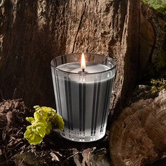 New Nest Charcoal Woods Classic Candle